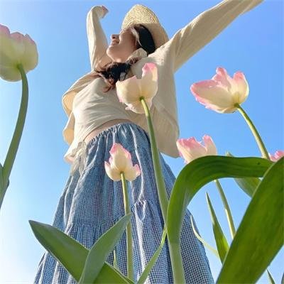 森林的终点是海